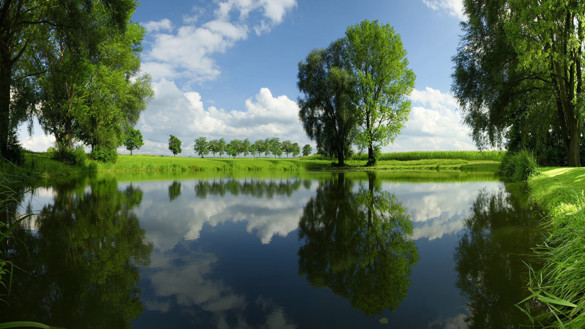 世界保龄球巡回赛城市站青少年观赛教育周启动，世界保龄球联合会